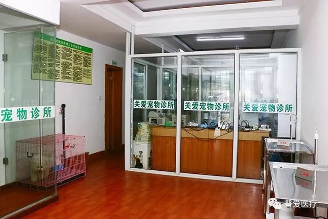 以仁醫(yī)之心關愛寵物健康